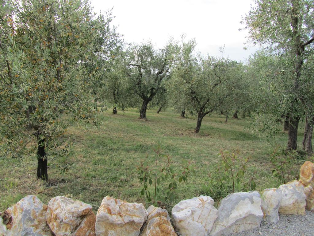 Agriturismo Borghetto Il Montino Rapolano Terme Exterior foto
